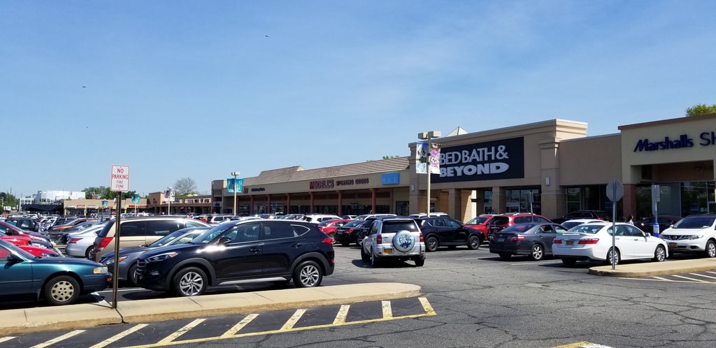 Photo of Lake Success Shopping Center in New Hyde Park, NY