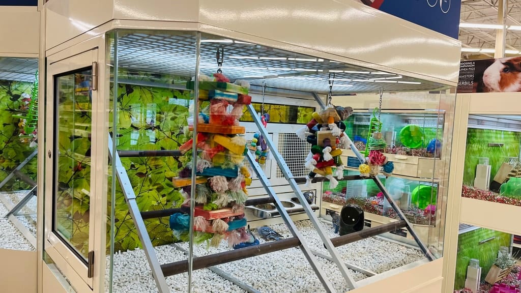 Photo of McKinney Towne Crossing in McKinney, TX